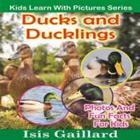 Ducks_and_Ducklings_Photos_and_Fun_Facts_for_Kids